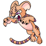 Orange Kougra