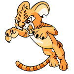 Orange Kougra