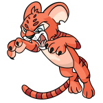 Orange Kougra