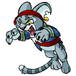 Pirate Kougra