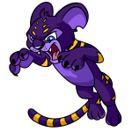 Purple Kougra