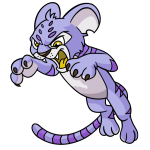 Purple Kougra