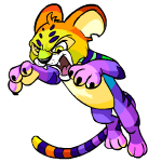 Rainbow Kougra