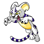 White Kougra