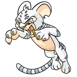 White Kougra