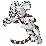 White Kougra
