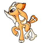 Orange Lulamu