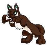 Brown Lupe