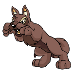 Brown Lupe