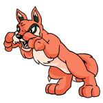 Orange Lupe