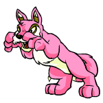 Pink Lupe