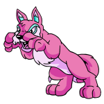 Pink Lupe