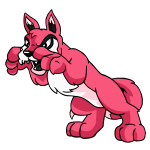 Pink Lupe
