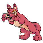 Pink Lupe