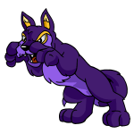 Purple Lupe
