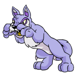 Purple Lupe