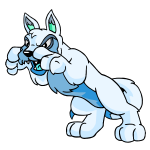 White Lupe