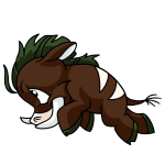 Brown Moehog