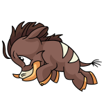 Brown Moehog