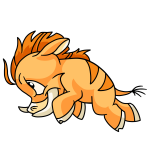 Orange Moehog
