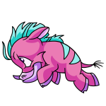 Pink Moehog
