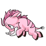 Pink Moehog