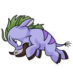 Purple Moehog