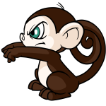 Brown Mynci