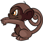 Brown Mynci