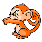 Orange Mynci