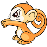 Orange Mynci
