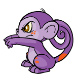 Purple Mynci