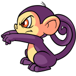 Purple Mynci