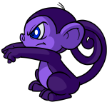 Purple Mynci