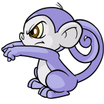 Purple Mynci