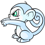 White Mynci