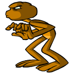 Brown Nimmo