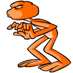 Orange Nimmo
