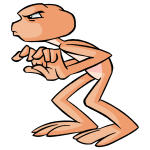 Orange Nimmo