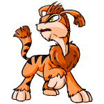 Orange Ogrin