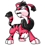 Pink Ogrin