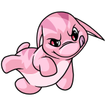 Pink Poogle