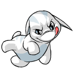White Poogle