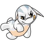 White Poogle