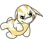 White Poogle