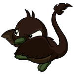 Brown Pteri