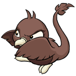 Brown Pteri