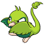 Green Pteri