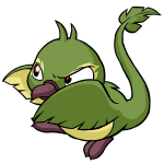 Green Pteri