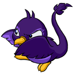 Purple Pteri